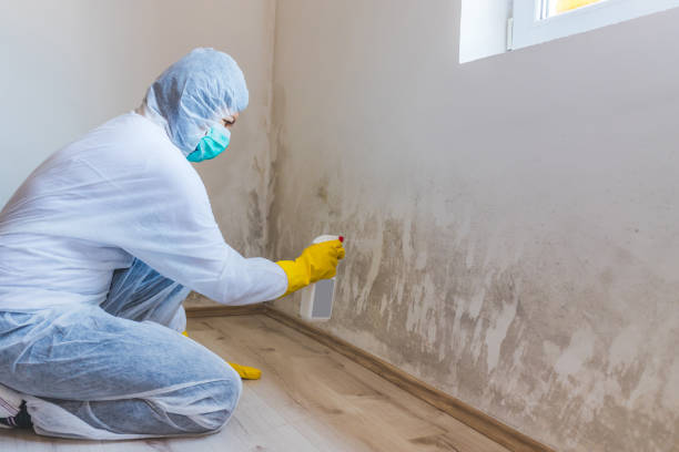 Best Biohazard Mold Removal  in Forney, TX
