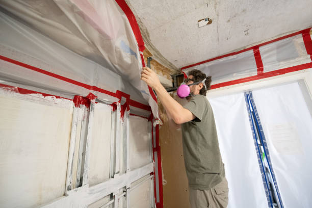 Best Mold Documentation for Insurance Claims  in Forney, TX