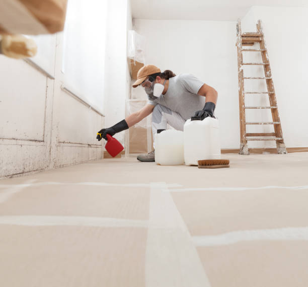 Best Residential Mold Inspection & Testing  in Forney, TX